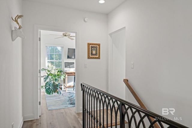 hall featuring light wood-type flooring