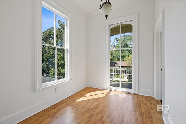 interior space featuring crown molding and wood-type flooring