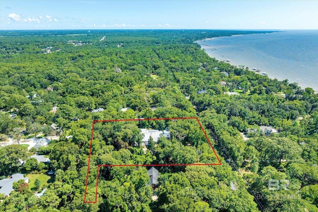 bird's eye view featuring a water view and a view of trees