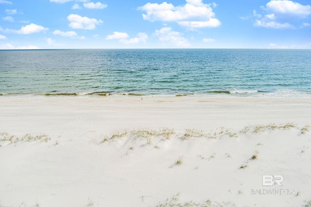 water view featuring a beach view
