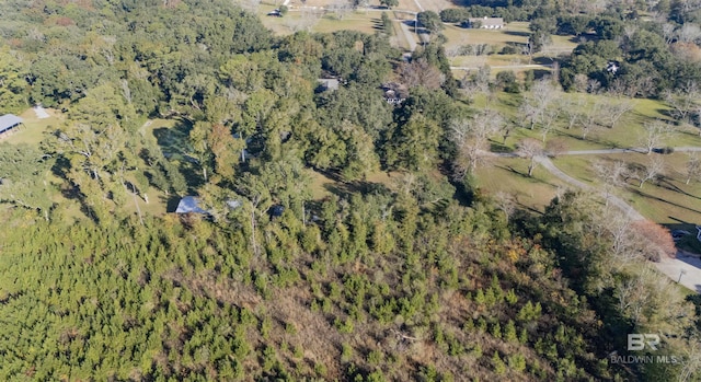 bird's eye view with a rural view