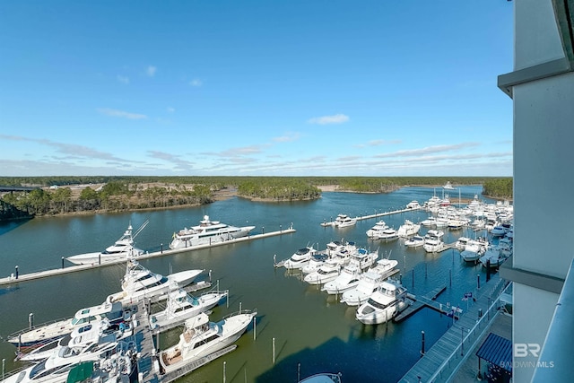 property view of water