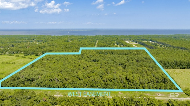 0 Laurendine Rd, Theodore AL, 36582 land for sale