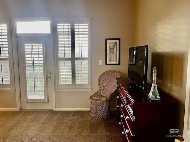 entryway featuring carpet floors