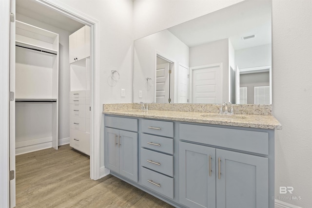 bathroom featuring vanity and wood-type flooring