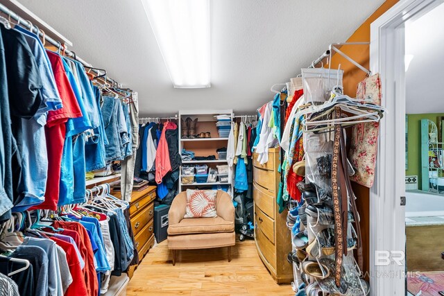 spacious closet featuring light hardwood / wood-style flooring