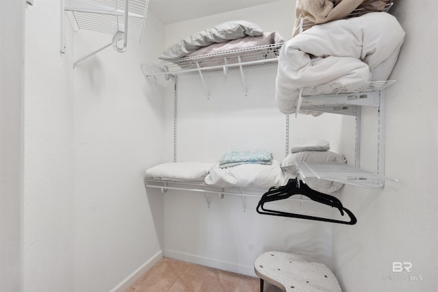 spacious closet featuring light colored carpet