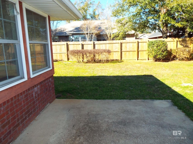 view of yard featuring a patio and a fenced backyard