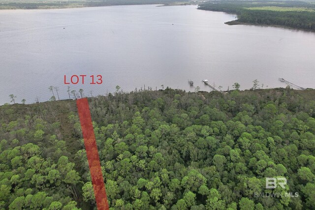 0 Baudin Ln E, Foley, AL 36535