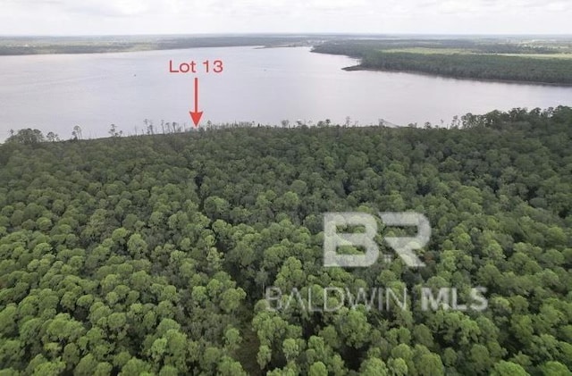 Listing photo 2 for Baudin Ln, Foley AL 36535