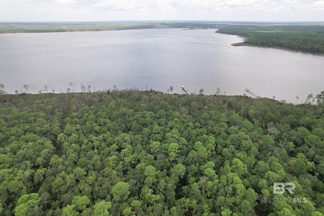 0 Baudin Ln E, Foley, AL 36535