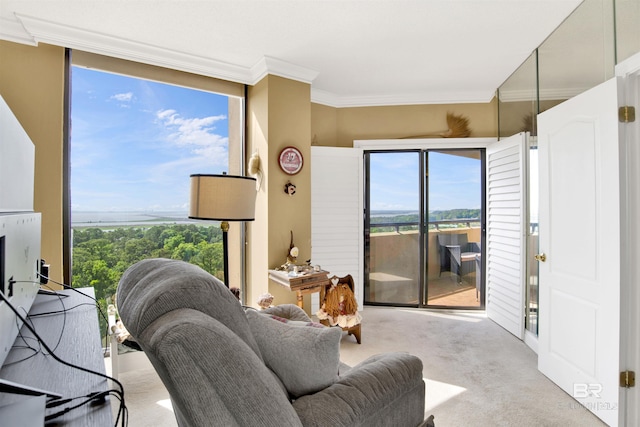 carpeted living area featuring crown molding and plenty of natural light