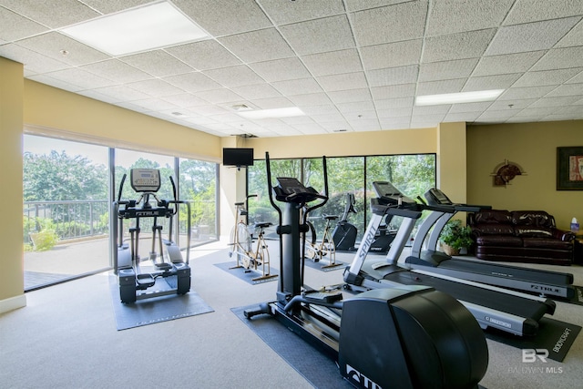 exercise room with carpet floors, visible vents, and a drop ceiling