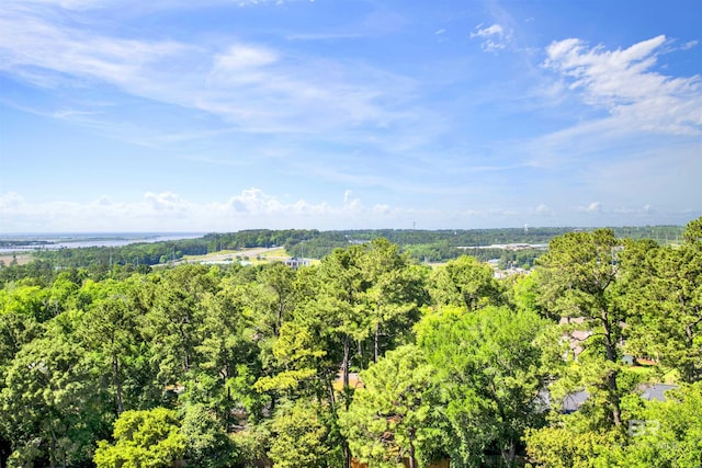 drone / aerial view with a view of trees