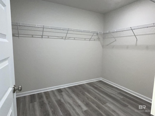 walk in closet featuring dark wood-type flooring