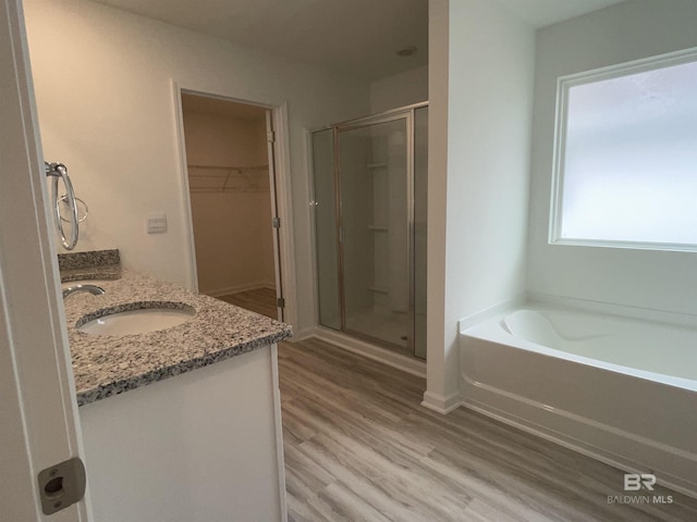 bathroom with wood-type flooring, plus walk in shower, and vanity