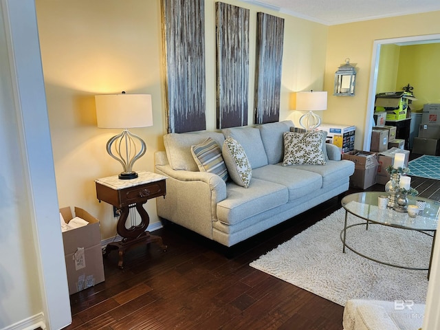 living area with ornamental molding, baseboards, and wood finished floors