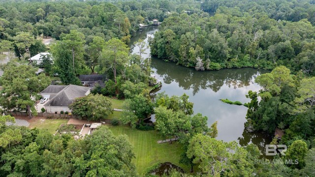 bird's eye view with a wooded view and a water view