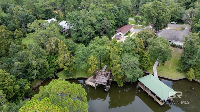 bird's eye view featuring a forest view and a water view