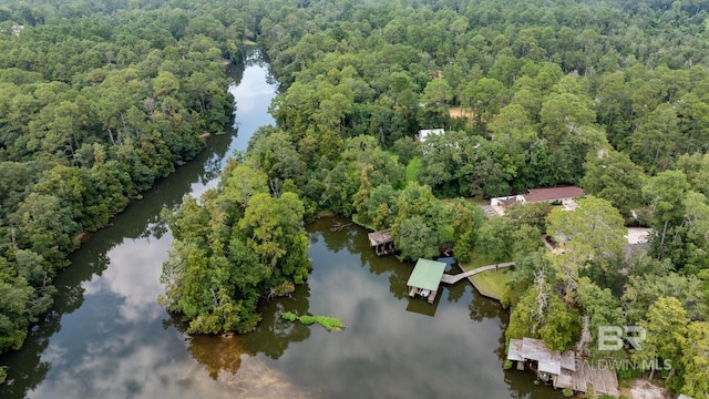 bird's eye view with a view of trees and a water view