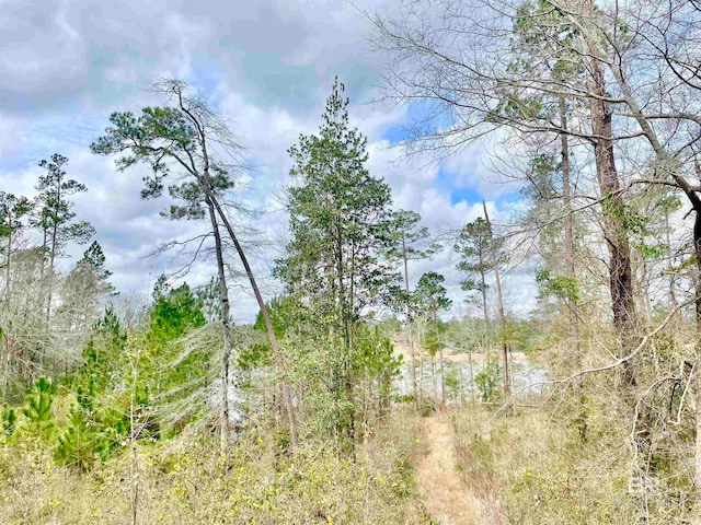 Listing photo 2 for 0 Lake Juniper Rd, Brewton AL 36426