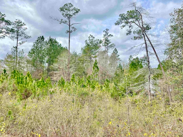 Listing photo 3 for 0 Lake Juniper Rd, Brewton AL 36426