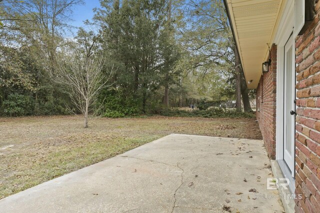 view of yard featuring a patio area