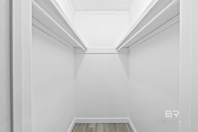 walk in closet featuring hardwood / wood-style floors