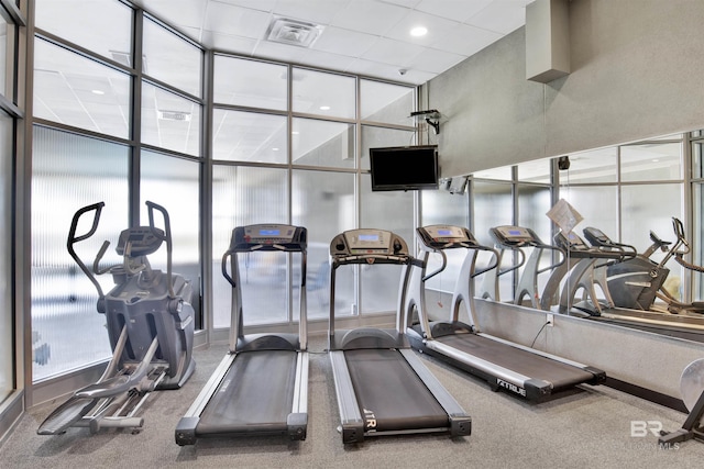 workout area featuring carpet and a wall of windows