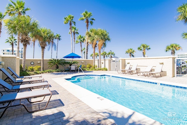 view of pool with a patio area