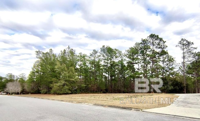 Listing photo 2 for 245 Juniper Creek Dr, Brewton AL 36426