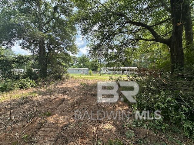 10765 Georgetown Hills Ct, Chunchula, AL 36521