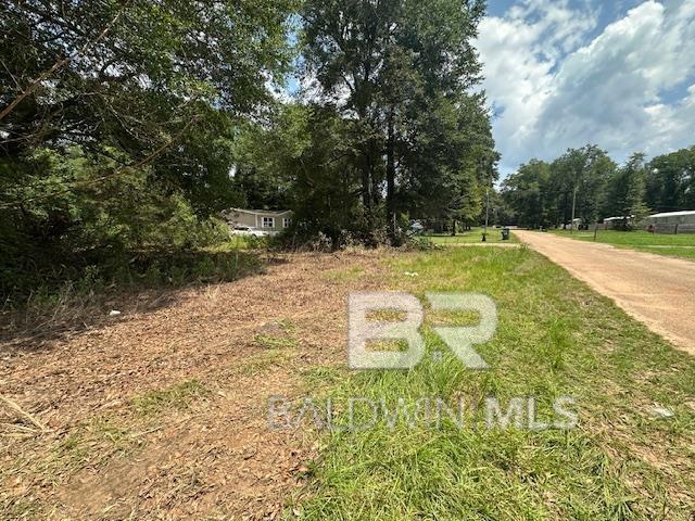 10765 Georgetown Hills Ct, Chunchula, AL 36521