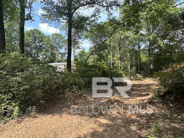 10765 Georgetown Hills Ct, Chunchula, AL 36521