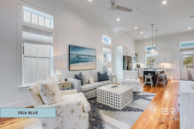 living room with ceiling fan, ornamental molding, and light hardwood / wood-style flooring