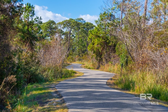 2471 Saltgrass Way, Orange Beach, AL 36561 - view of road