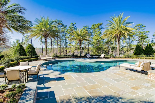 view of pool featuring a patio area