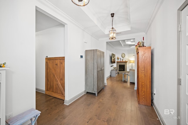 corridor with crown molding, wood-type flooring, and a raised ceiling