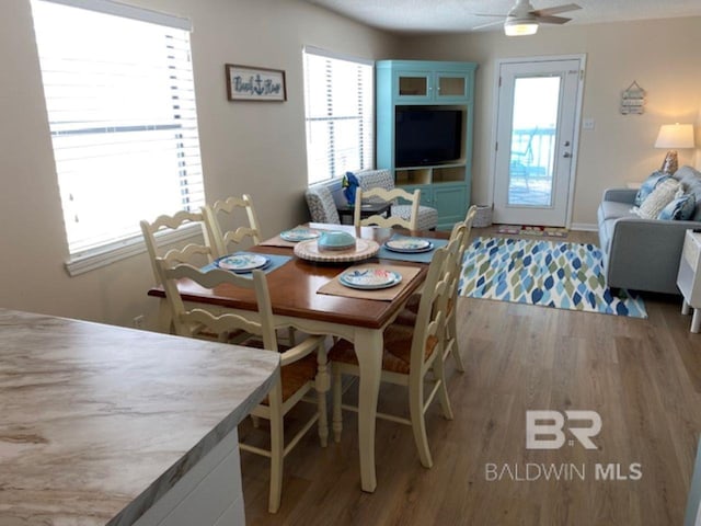 dining area with wood-type flooring, a wealth of natural light, and ceiling fan