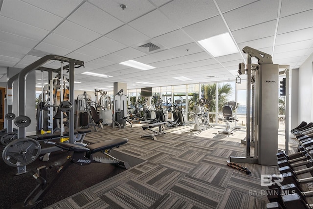 exercise room with a paneled ceiling, carpet floors, and expansive windows