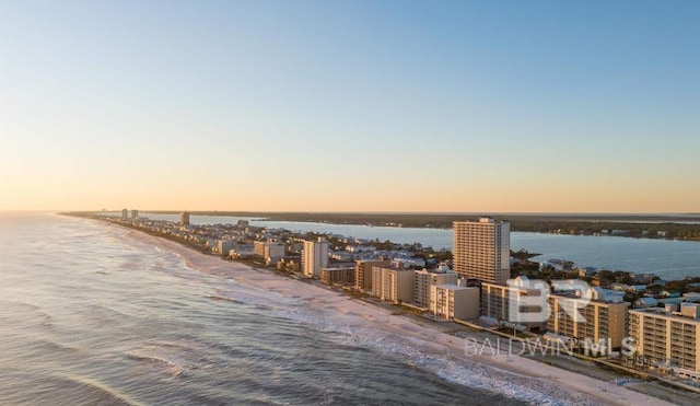 water view featuring a beach view