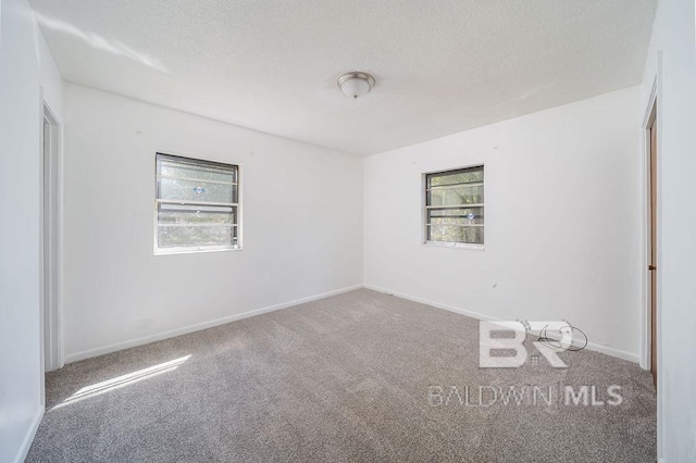 empty room featuring a wealth of natural light, carpet, and a textured ceiling