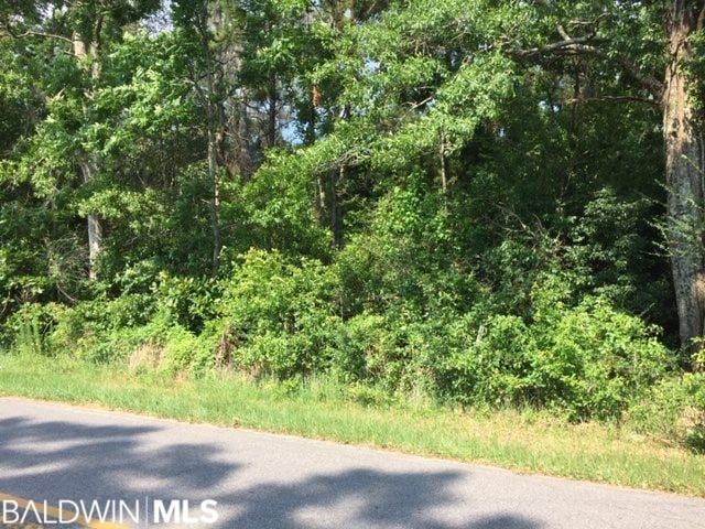 27180 W County Road 54, Daphne AL, 36526 land for sale