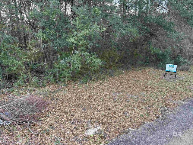 Pine Ct, Saraland, AL 36571