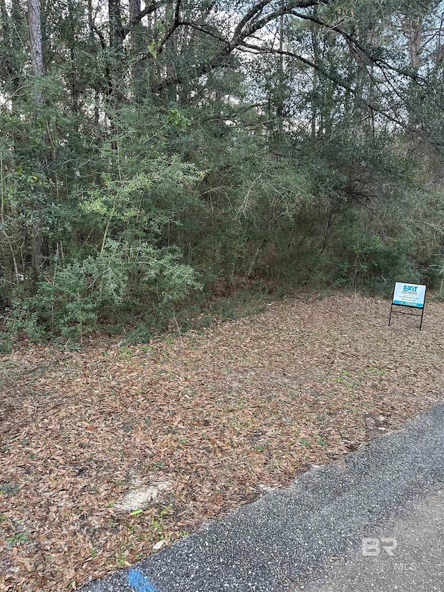 Pine Ct, Saraland, AL 36571