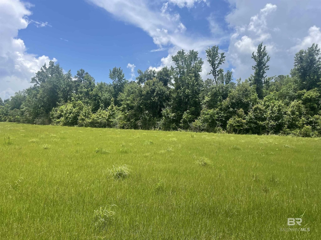 15660 Louis Cooper Rd, Bay Minette, AL 36507