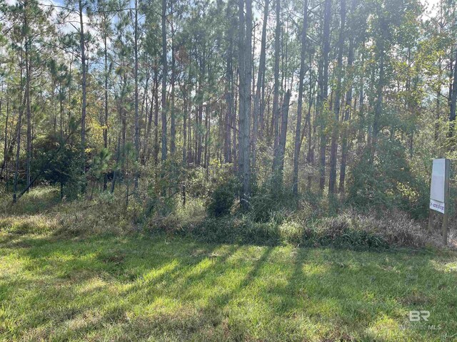 17058 Foley Beach Expy, Foley, AL 36535