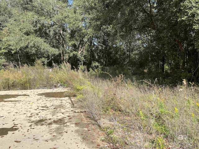 17058 Foley Beach Expy, Foley, AL 36535