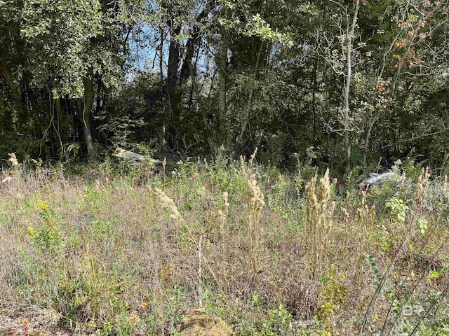 17058 Foley Beach Expy, Foley, AL 36535