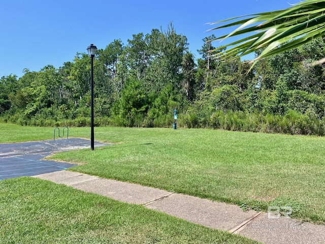 6194 Gulf Shores Pkwy Unit A6, Gulf Shores, AL 36542 - view of green lawn